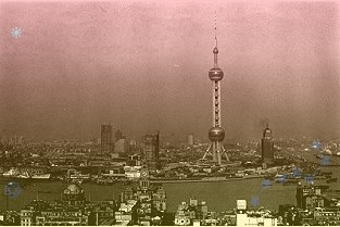 “东阿阿胶杯”《山东省中医药条例》和中医药健康文化知识竞赛决赛圆满落幕守正创新的生动实践